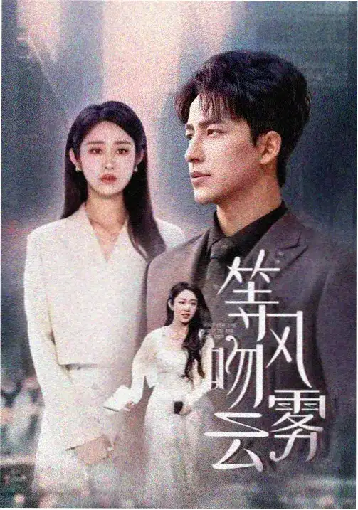 绝命毒师 数字修复